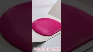 【中古ラケット】VICTAS ヴェンタス リンバー 「卓球YouTuberの日常」