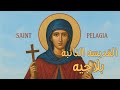 عارفين قصة حياة القديسه بيلاجيه التائبة 