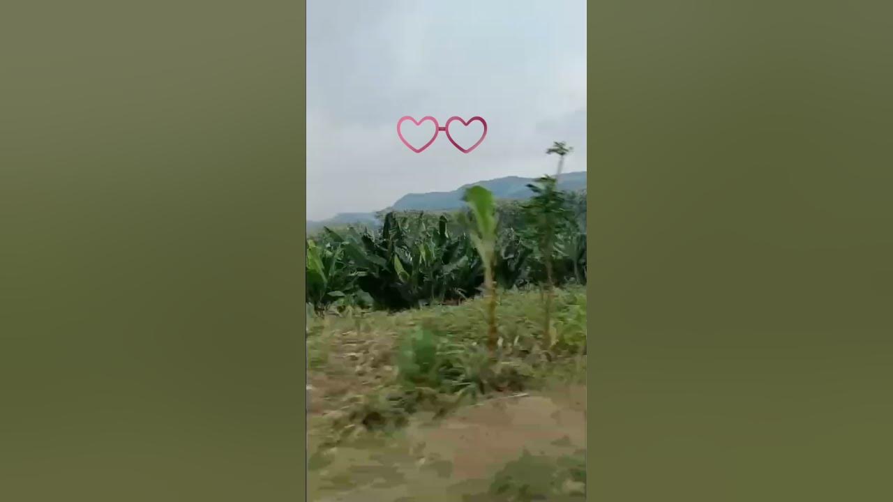 pacaran versi ani dan haji rhoma irama jadul#video#shorts#youtube#music