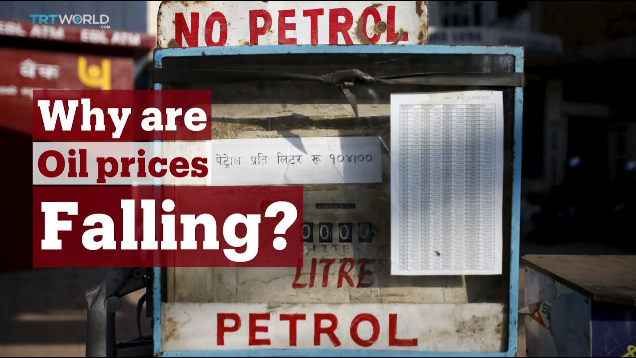 TRT World World in Focus Why are oil prices falling? YouTube