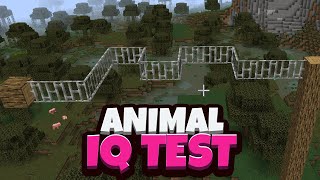 Minecraft BALANCE TEST