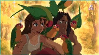 Torn Between Worlds: A Jungle Journey of Discovery