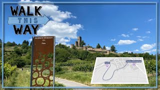 Wachenheim Walking Tour - 4K