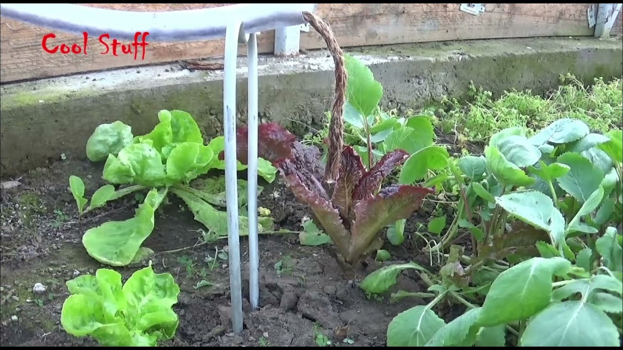 Self watering system | Plastic bottle drip irrigation with rope and ...