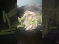 Stir Fry green beans with pork and squid Part 3 #sarapyan #yummyyy #lutongilokano #ofwhklife