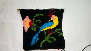 Peacock design for sweater with graph