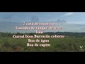 Quarenta e dois alqueires formados localizado em vale do Anari ref#M