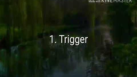 Tutorial Membuat Trigger, Function dan Procedure di Phpmyadmin #erwanusmawan