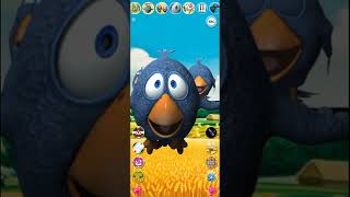 Funny Talking birds on a wire screenshot 5