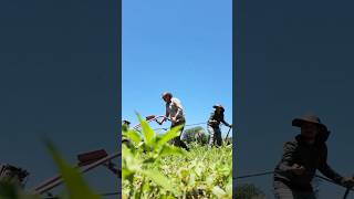 New Mexico farmer follows in father's footsteps