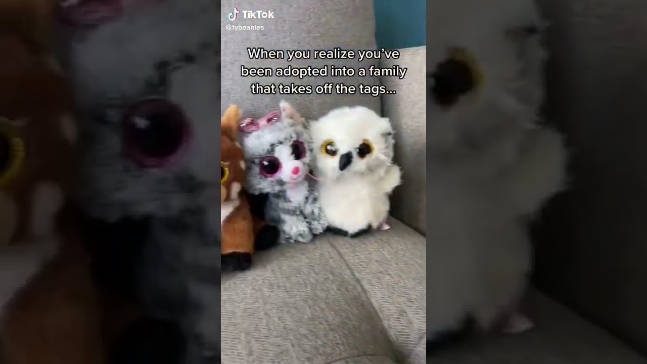 Beanie Boos To Tag Or Not