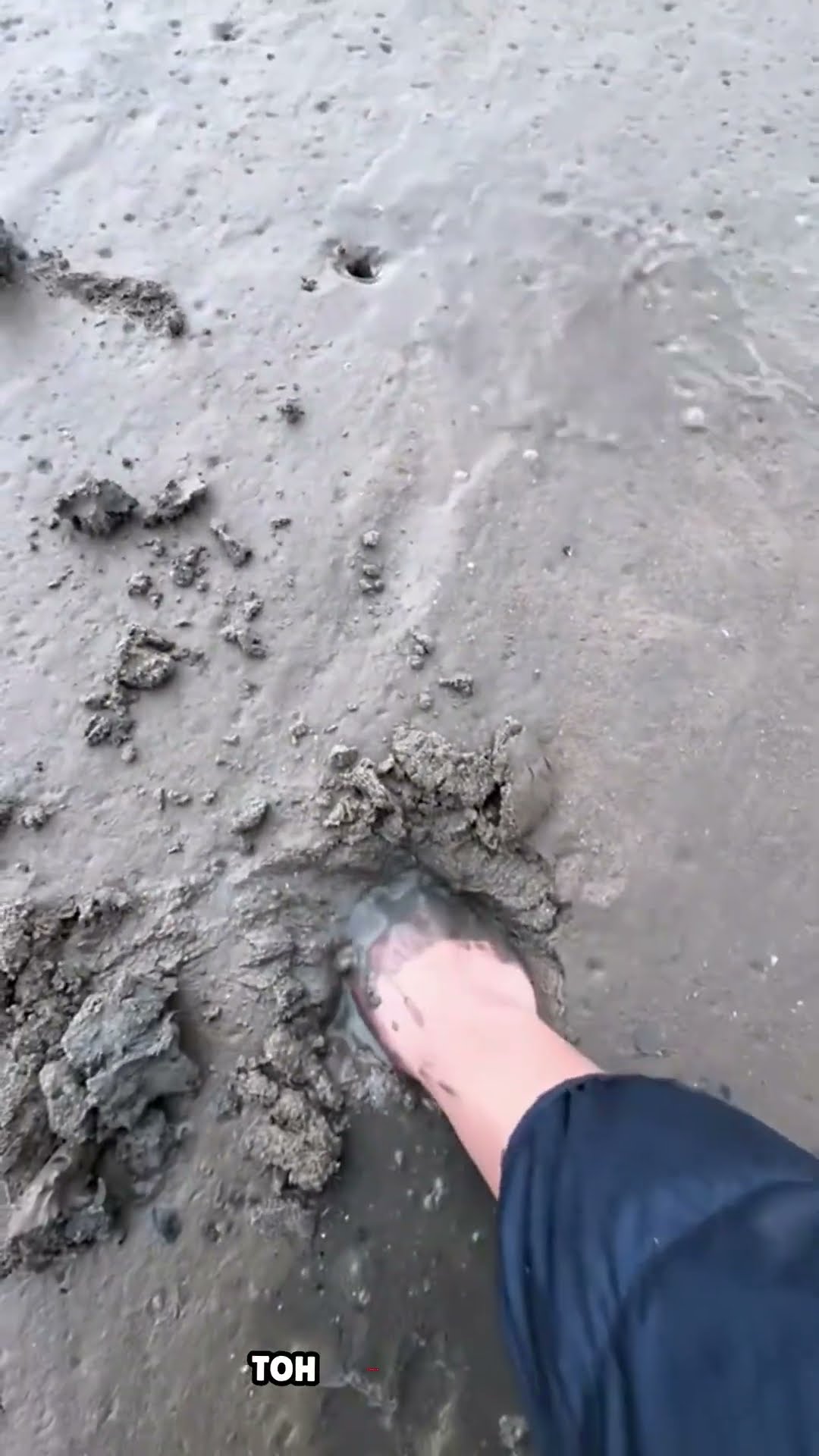 Expensive creature #shortvideo