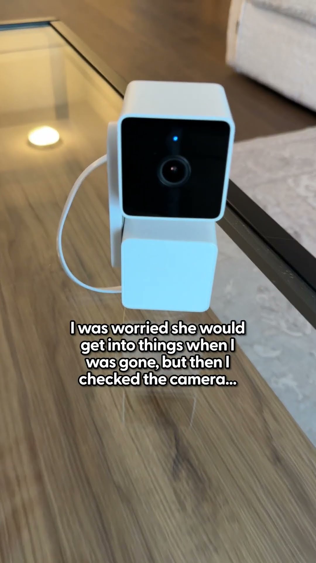 Checking On Pets With The WYZE Cam | The Pack