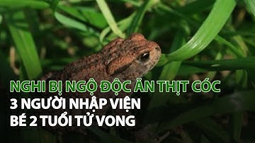 Nghi bị Ngộ Độc ăn Thịt Cóc 3 người nhập viện, Bé 2 tuổi tử vong| VTC14
