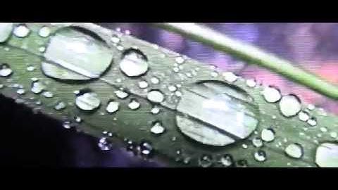 HNRK & KODYAK - GEOSMIN EP [Full EP Official Video]