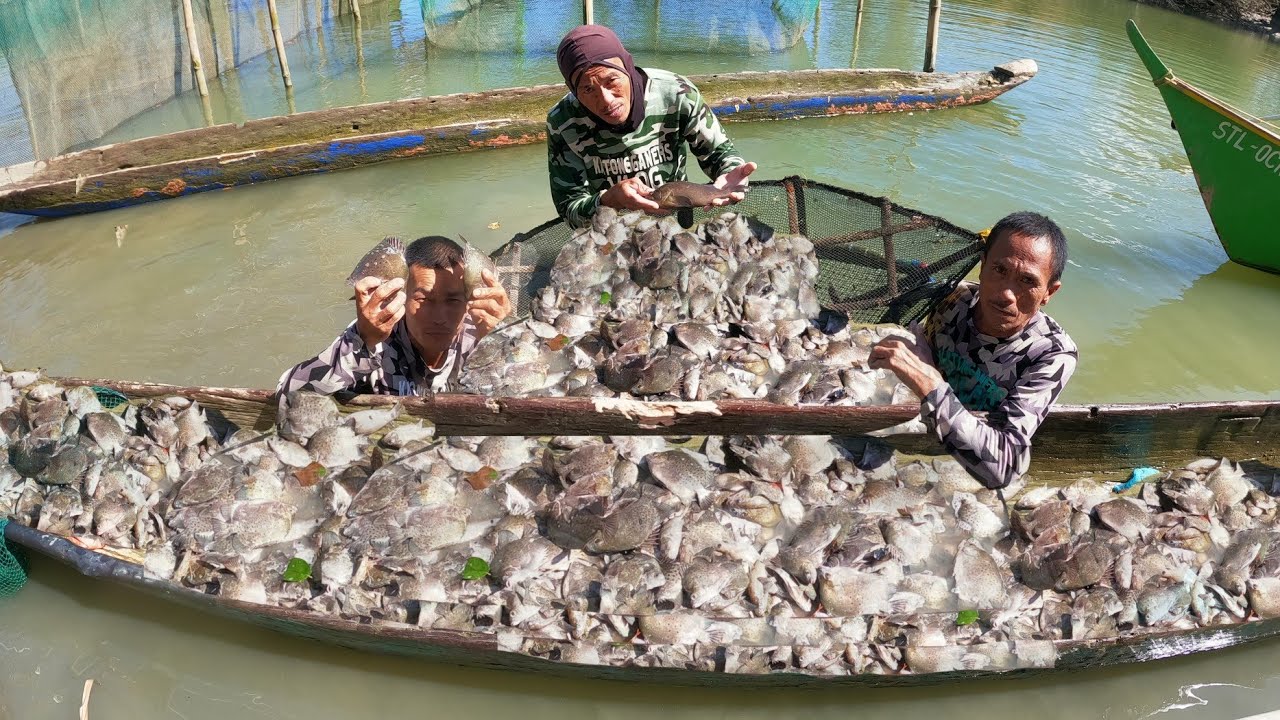 EP401:PART1-SUMUBA ANG NAPAKARAMING ISDA/HULI SA PAGPANDAW NG GANGO