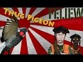 Hors Série: Thug pigeon, Chasse au pigeon, Le pigeon vengeur, thug life