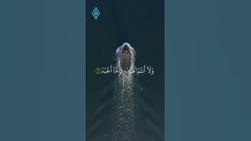 تلاوة مميزة |فارس عباد -سورة الكافرون بصوت مؤثر وخاشعEtkileyici Kıraat | Fares Abbad- Kafirun Suresi