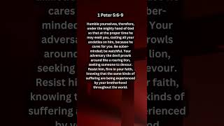 Journey of faith and spiritual growth 1 Peter 5 6 9 Daily Bible Verse