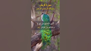 Surah Quraish (سورة قريش) #quran