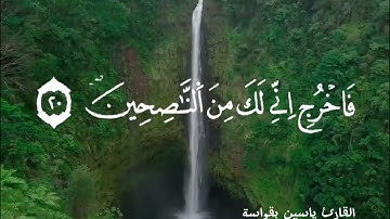 القارئ ياسين بقواسة