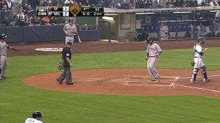 Belt's sac fly