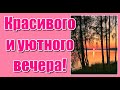 Красивого и уютного вечера с красивой песней Владимира Пушкина "Посмотри на небо..." . Послушайте!