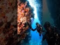 “Hidden Underwater World 😱🌊 | Deep Sea Adventure Shorts” #relaxing #music #underwater #viral #shorts