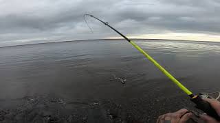 Рыбалка.Хозяин реки порадовал..