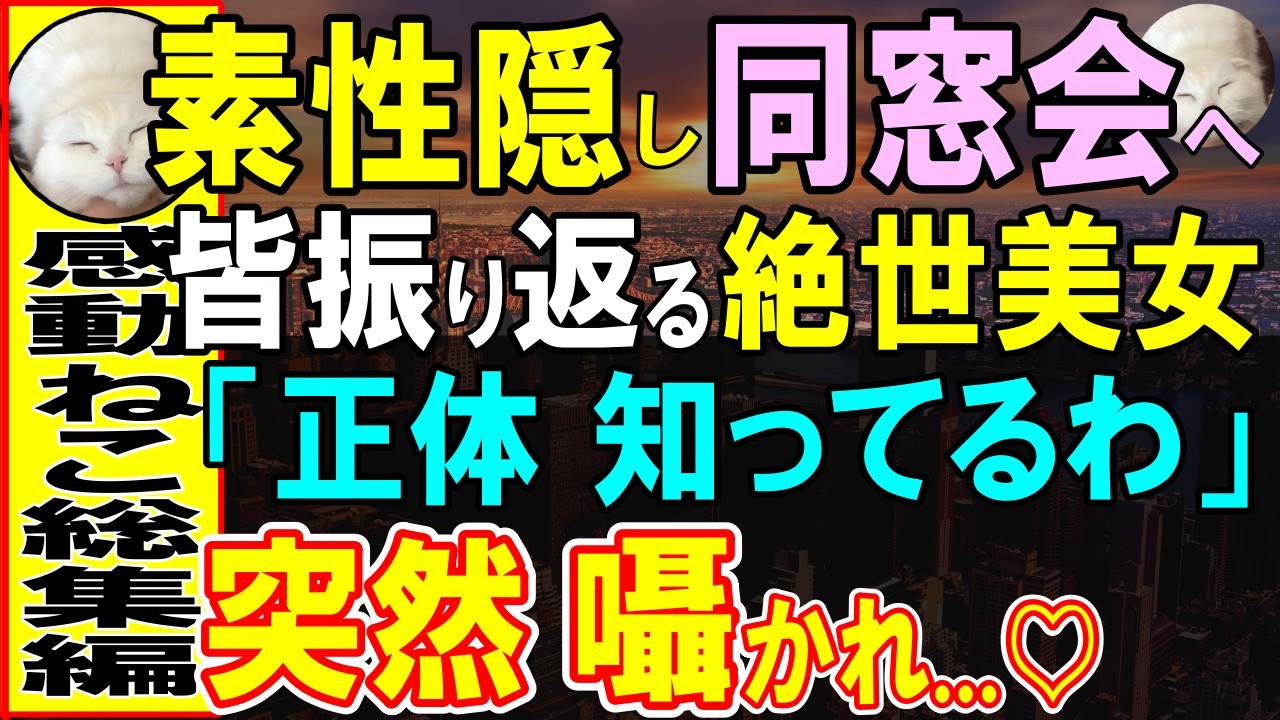 【感動する話】素性隠して凡人演じる俺が同窓会へ。美人同級生が現れ、「あなたの正体知ってるわ」俺に耳打ちしてきた結果、一同パニックに...【いい話・泣ける話・朗読】