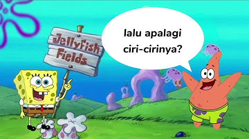 Karier dan Studi Lanjut di Bidang Informatika