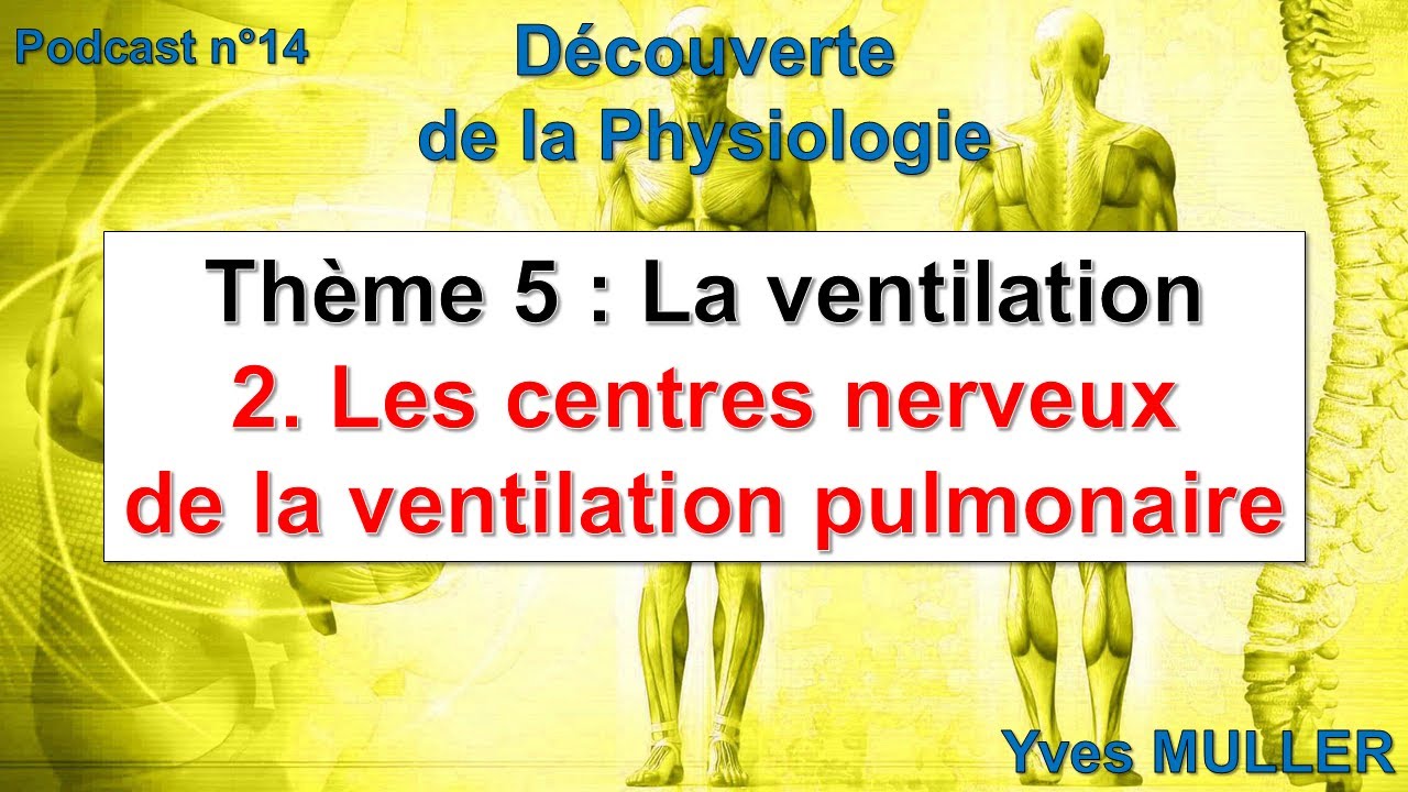 Épisode 14 - Podcast Découverte de la Physiologie - Les centres nerveux de la ventilation pulmonaire
