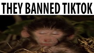 They Banned TikTok by Meme Zee 41,918 views 3 weeks ago 35 seconds