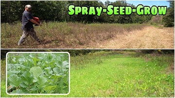 3 Simple Steps for a Better Food Plot | No heavy equipment Needed