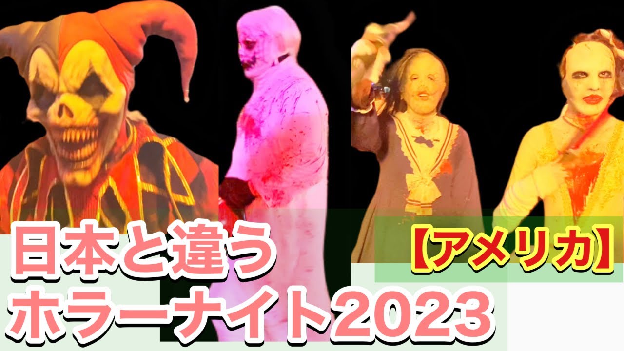 動画を再生