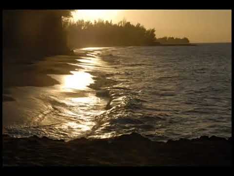 تلاوة طيبة للشيخ سعد الغامدي 