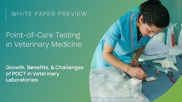 White Paper Preview | Point-of-Care Testing in Veterinary Medicine