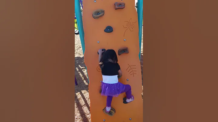 THE CLIMB
