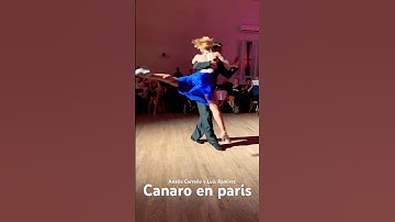 Canaro en paris show #learntango #thetangoway #tango #dance #dancer #lawofattraction #coupledance