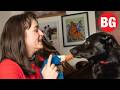 Rescue dog helps woman lose six stone