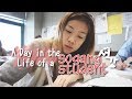 Seoul vlog | Day in the Life of a Sogang KLEC Student