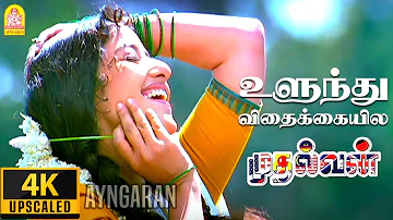 Ulundhu Vithakkaiyilae - 4K Video Song |உளுந்து விதைக்கையில|Mudhalvan |Arjun |Shankar | A.R. Rahman