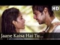 Jaane Kaisa Hai Tu - Bhram-An Illusion Songs - Dino Morea - Sheetal Menon - Shaan Hits