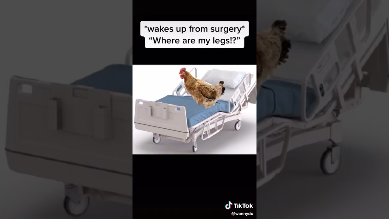 Chicken leg piece meme YouTube