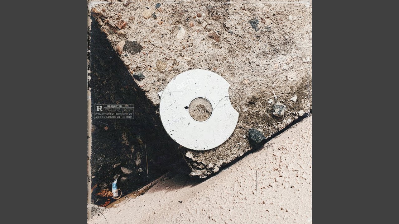 I H8TE TEENS (Prod. by ZADEN)