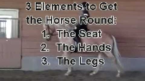 Part 1 of The Riding Lesson ~ Using the Leg ~ 1 of 5 Parts - with JP Giacomini