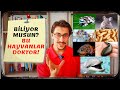 Bilimsel Yönleriyle 8 ŞİFALI HAYVAN! / (🐸,🦟,🐭,🐬,🐛,🐟,🐱,🐶,🐰)