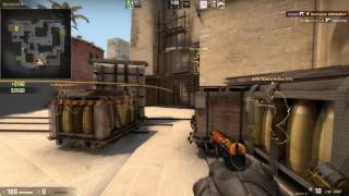 Counter Strike Global Offensive- Quick ACE(CSO)