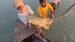 Famous Part 2 Full video How is a net used to catch big fish #fishhunting2 Wealth