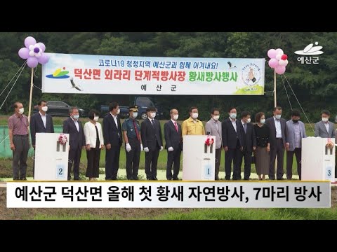 7월 5주차 [비주얼예산뉴스]